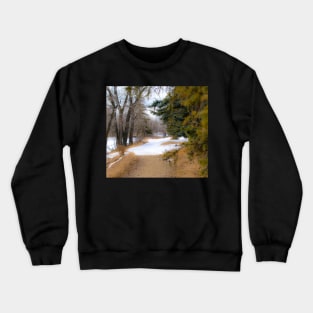 Urban trail Crewneck Sweatshirt